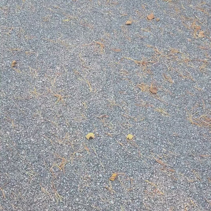 Cykelsadelskydd i Fårskinn Svart